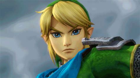 Link Zelda Costumes Hyrule Warriors Image Animated 