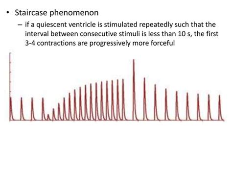 Structure of cardiac muscle excitation contraction coupling properties ...