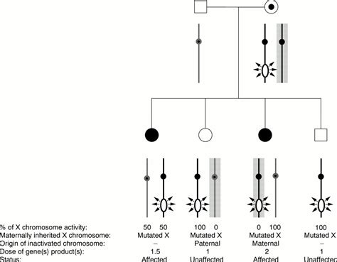 Segregation Of A Totally Skewed Pattern Of X Chromosome Inactivation In