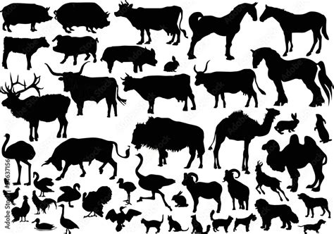 Collection Of Farm Animals Silhouettes Stock Vector Adobe Stock