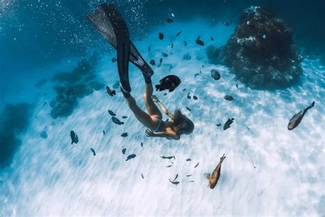 Naked Woman Freediver Glides Over Sandy Bottom Beautiful Woman Stock