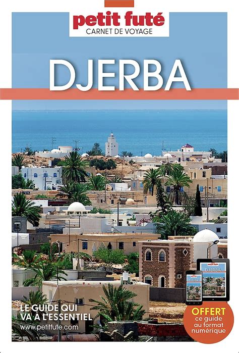 Guide Djerba 2024 Carnet Petit Futé Amazon co uk Auzias d