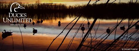 Ducks Unlimited Logo Wallpaper