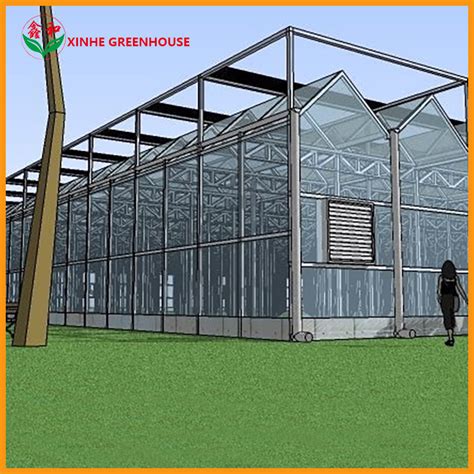 Venlo Tunnel Multispan Vegetables Fruits Glass Greenhouse With