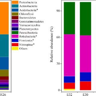 Relative Abundances Of Dominant Bacterial A And Fungal B Groups At