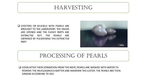 Pearl Formation