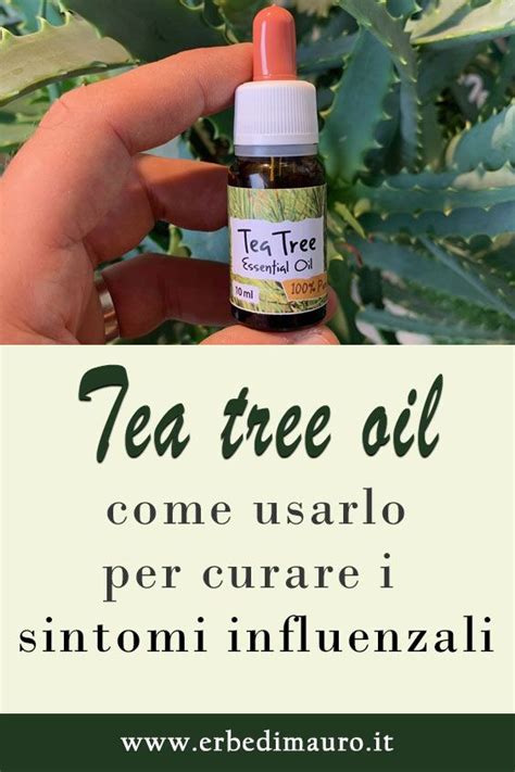 Come Usare Il Tea Tree Oil Per Curare Raffreddore E Sintomi Influenzali