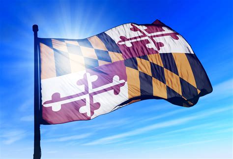 How Maryland failed families and children with complex needs - Center