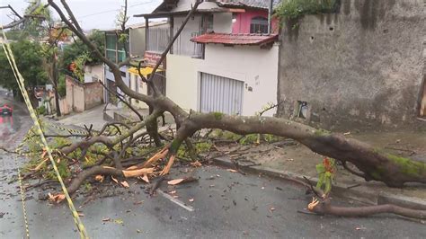 Chuva provoca queda de árvore no bairro Céu Azul em BH Minas Gerais G1