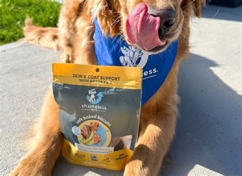 Shameless Pets Dog Treats Just 239 Shipped Reg 9 No Grain Corn