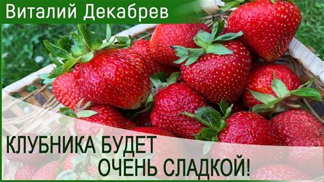 КЛУБНИКА БУДЕТ ОЧЕНЬ СЛАДКОЙ! - YouTube