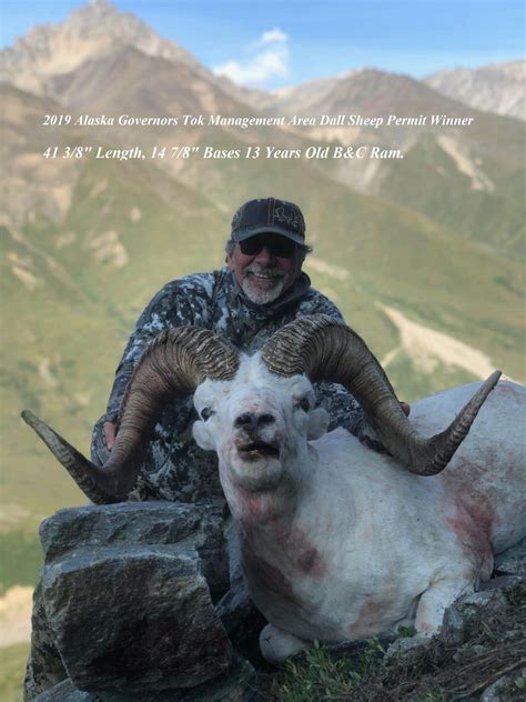 Dall Sheep Hunt Raffle Sci Alaska