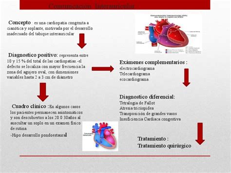 Comunicación Interauricular Pdf