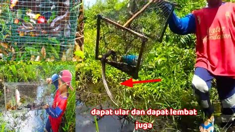 Bocil Ini Pemberani Angkat Bubu Lembat Ada Ular Nya Bubulembat