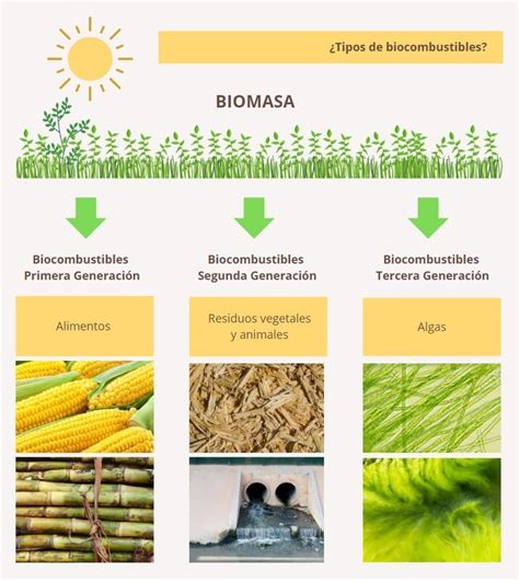 Biocombustibles Qu Son C Mo Se Obtiene Y Ventajas Ovacen