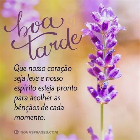 50 Frases De Boa Tarde Para Alegrar Seu Dia