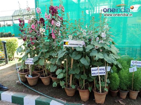 Lalbagh Flower Show For Republic Day 2012 Boldsky