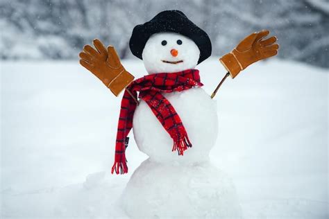 Premium Photo Snowman With Hat And Scarf In Winter Outdoor The