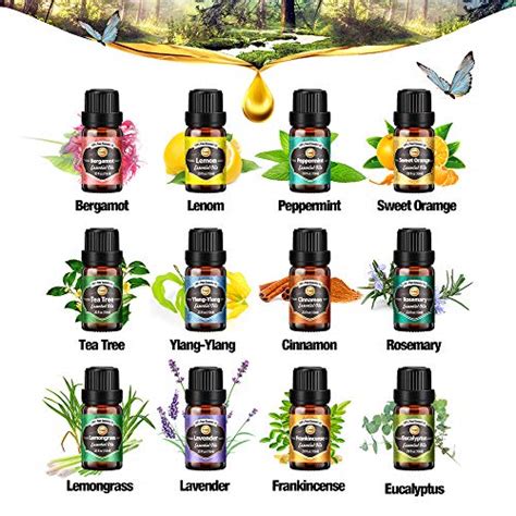 Innoocare Essential Oils Set 18 X 10 Ml Tea Tree Lavender Eucalyptus Frankincense Lemon