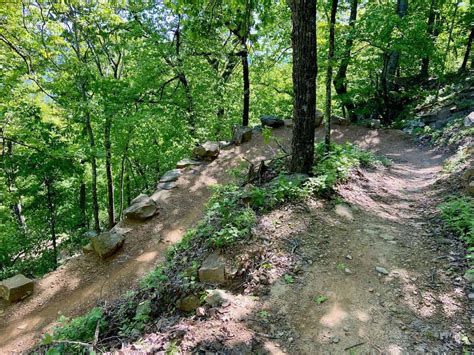 Mountain Biking The Mt Nebo State Park Trails Epic Views And Long