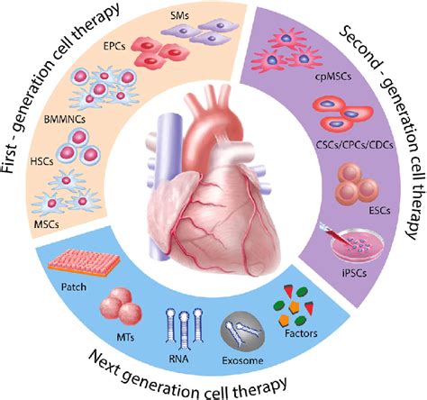 Evolution Of Translational Cardiac Regenerative Therapies