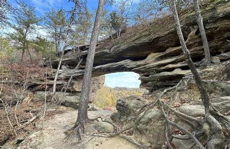 10 Best Hikes And Trails In Red River Gorge Geological Area Alltrails