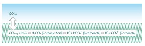 How Does Seawater Buffer Or Neutralize Acids Created By Scrubbing Egcsa