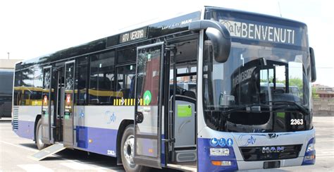 Paura Sul Bus Autista Ha Un Malore E Finisce Fuori Strada Feriti Due