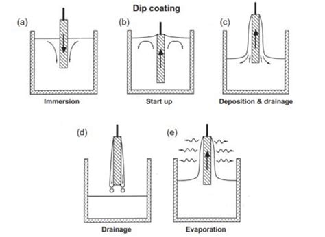 Schematic Illustration Of The Stages Of The Dip Coating 67