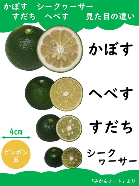 みかんノート on Twitter 再掲 酢みかん食べ比べ会 香酸柑橘 柑橘 みかん かぼす へべす すだち シークヮーサー