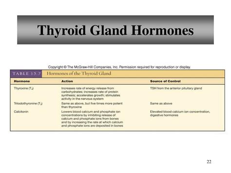 Ppt Chapter 13 Endocrine System Powerpoint Presentation Free