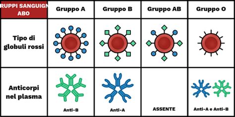 Sistema Dei Gruppi Sanguigni Labster