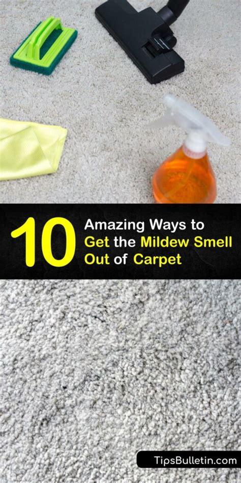 Remove Mildew Smells In A Rug Get Rid Of Mildewy Carpet Odors