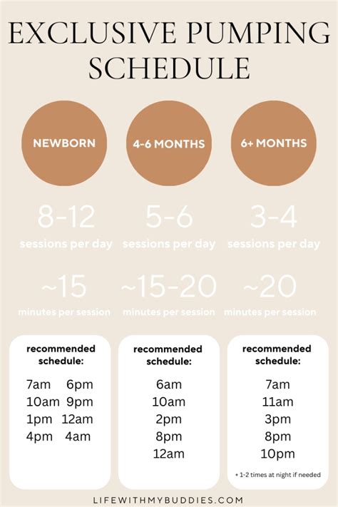 A Mom S Guide To An Exclusive Pumping Schedule That Works Artofit