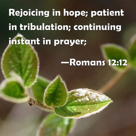 Romans 12 12 Rejoicing In Hope Patient In Tribulation Continuing