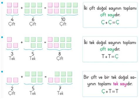 3 Sınıf Tek ve Çift Doğal Sayılar Konu Anlatımı etkinlik çalışma kağıdı