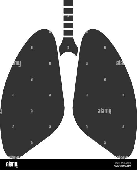 Human Lungs Glyph Icon Respiratory System Anatomy Silhouette Symbol