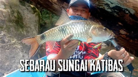 Trip Ulu Katibas Misi Mencari Ikan Sebarau Di Sungai Katibas Song Youtube