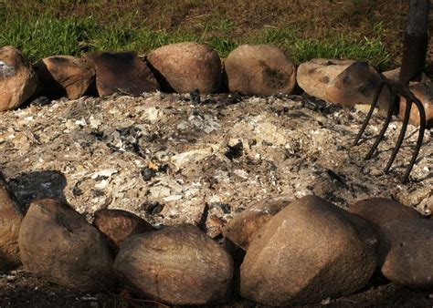 Cendre De Bois Quels Sont Ses Bienfaits Pour Votre Jardin