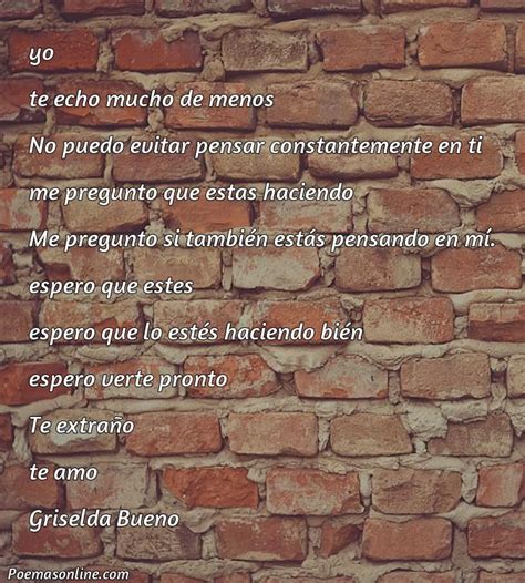 Cinco Poemas para Decir te Extraño Poemas Online