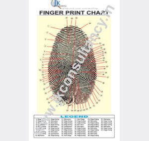 Fingerprint Wall Chart Poster Fingerprint Training Material India