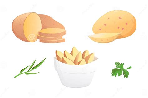 Set Potatoes Vector Illustration Isolated Potato On White Background Stock Vector