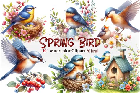 Watercolor Spring Bird Clipart Graphic By Craftvillage · Creative Fabrica