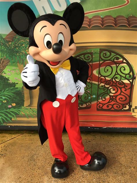 mickey mouse Mascot – Anil Events Bangalore