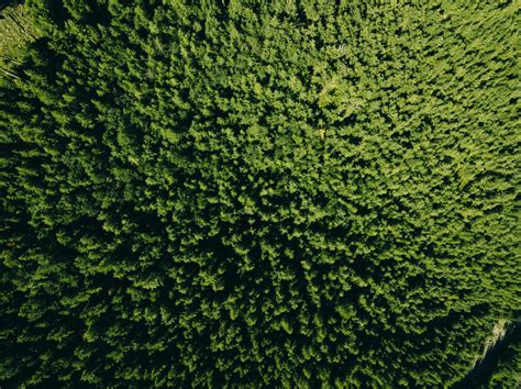 Achats responsables et bien-être quotidien : améliorer santé, humeur et