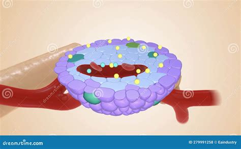 Healthy Insulin Production 3D Rendering Stock Footage - Video of blood, system: 279991258