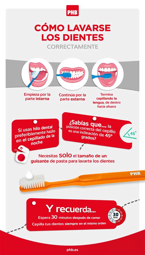 Cómo Lavarse Los Dientes Como Lavarse Los Dientes Salud Bucal Cuidado De Los Dientes