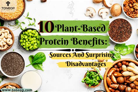 Top 10 Plant Based Protein Benefits Surprising Disadvantages