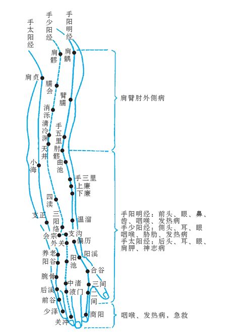 六十四经脉腧穴主治分部 上肢外侧部 针灸入门 医学