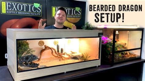 40 gallon bearded dragon tank setup ideas - Regena Killian